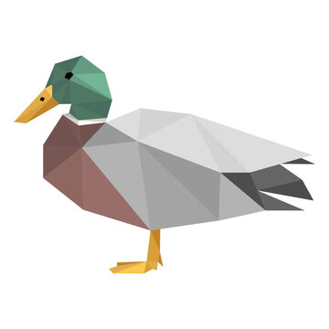 Duck side view lowpoly