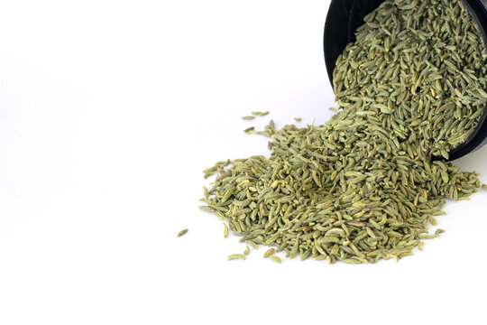 fennel seeds - saunf variyali spiled out from black plastic cup isolated on white background