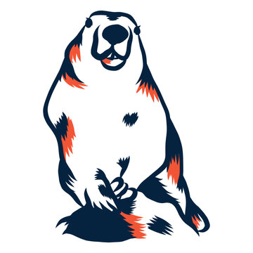 Groundhog front view duotone