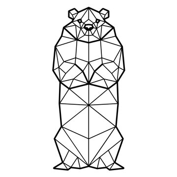 Groundhog standing polygonal