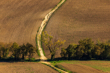 Naklejka premium Rural road winding through fields of Tuscany, Italy.