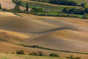 Naklejka premium Rolling cultivated hills of Tuscany in autumn, Italy.