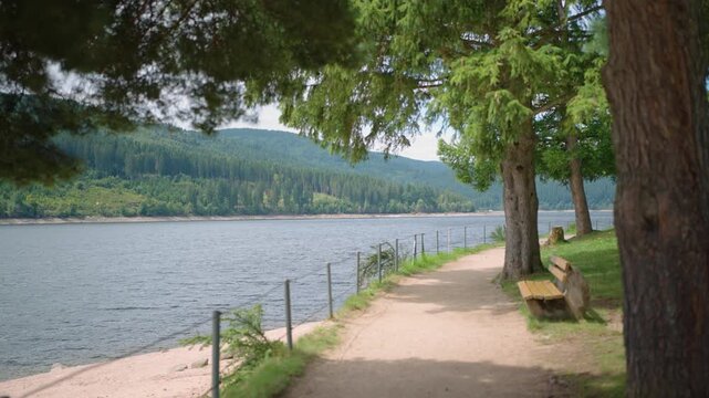 Hiking path at Schluchsee Schwarzwald Black Forest Germany on sunny day