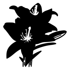 Stamen petal stem flower detailed silhouette © Vexels