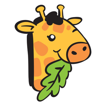 Cute giraffe head eating