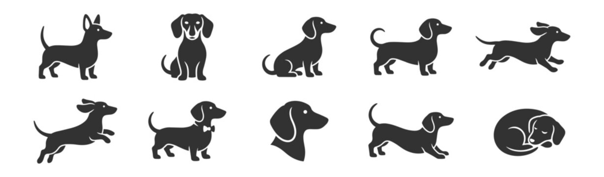dachshund dog silhouette icons set in various poses vector illustration on transparent background