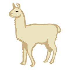 Naklejka premium Llama animal stands