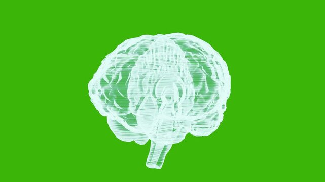 Rotating holographic brain on green background, digital AI neural network animation, futuristic technology concept. Futuristic holographic brain spinning with neural connections on green screen, tech 