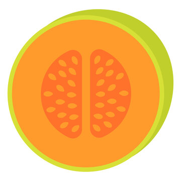 Cantaloupe fruit flat