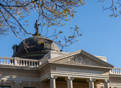 A historic courthouse in Georgetown, Texas features a statue on its dome against a clear blue sky. Trees frame the scene with budding leaves.