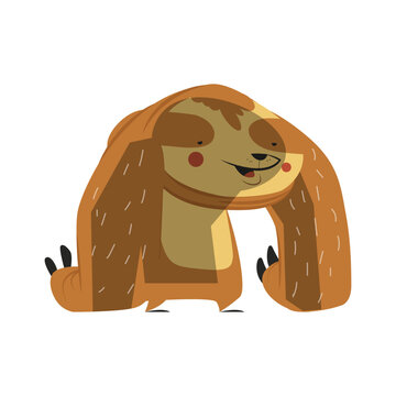 Cute lazy sloth