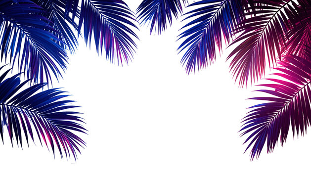 Neon-lit palm fronds frame a black void, vibrant blues and pinks blend
