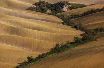 Naklejka premium Rolling hills of cultivated land in Tuscan landscape, Italy.