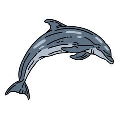 Stroke dolphin aquatic mammal © Vexels