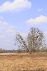 Fototapeta premium Kurpiowski pejzaż na przedwiośniu