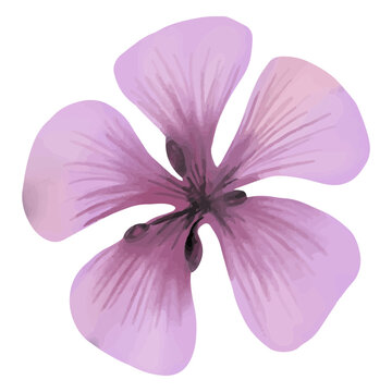 Violet flower textured spring
