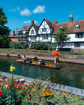 View of a punt glides serenely along the River Stour, framed by vibrant flowerbeds and the striking black-and-white timbered buildings, Canterbury, England, United Kingdom.