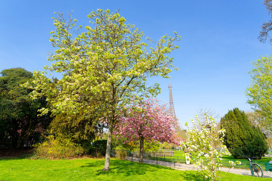 Champ-de-Mars gardens in spring season. Paris city