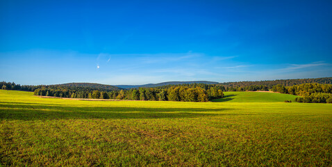 Fototapeta premium green field and blue sky