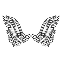 Obraz premium Spread angel wings