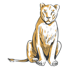 Lion duotone female sit © Vexels