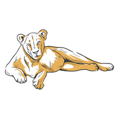 Lion duotone female laying © Vexels