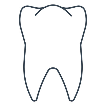 Simple drawing of a molar tooth