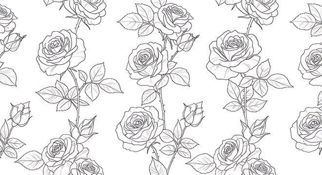 A detailed botanical line art pattern featuring elegant blooming rose flowers and green leaves