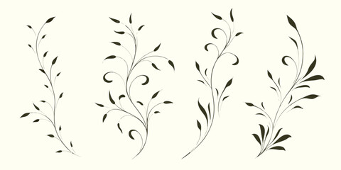 Obraz premium Elegant botanical line art featuring four delicate sprigs and swirling stems