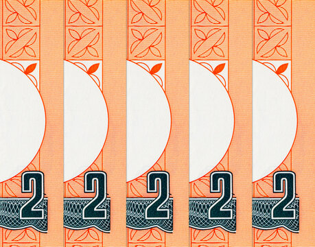 Bangladesh 2 Taka banknote featuring the national bird Magpie-Robin (Doyel). Bangladeshi money. Asian currency.