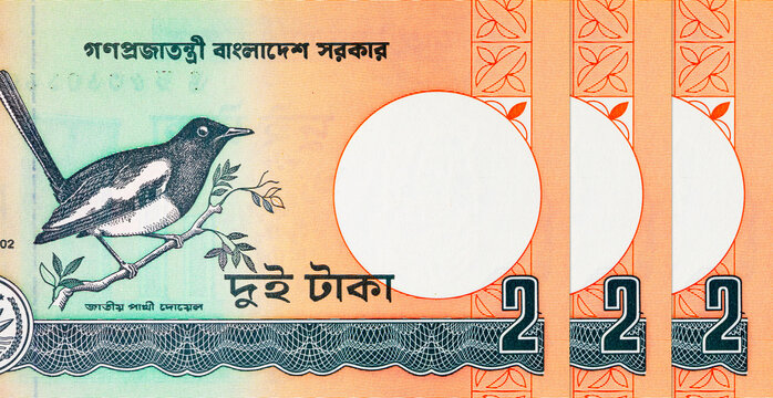 Bangladesh 2 Taka banknote featuring the national bird Magpie-Robin (Doyel). Bangladeshi money. Asian currency.