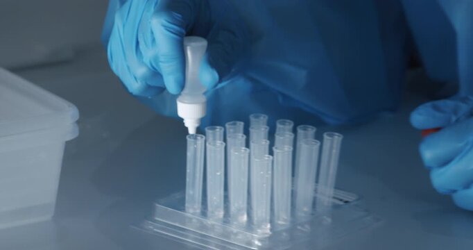 Laboratory technician pipetting sample solution for COVID-19 rapid antigen test in Berlin, Germany