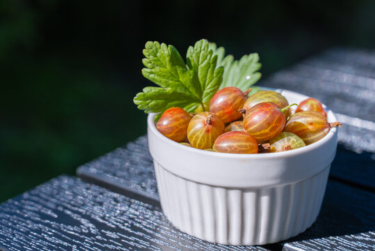Fresh homegrown berries in white bowl on table