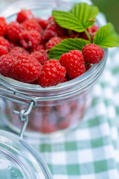 Fresh raspberries in glass jar on checkered tablecloth