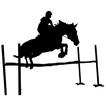 Salto de obst&aacute;culos 