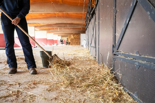 Cleaning a stable with a broom and bucket