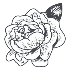 Naklejka premium Splendid flower hand-drawn design