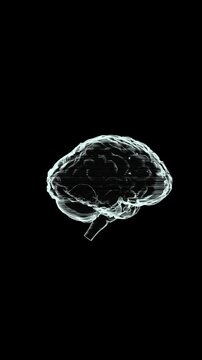 Vertical video of rotating holographic brain on black background, digital AI neural network animation, futuristic technology concept