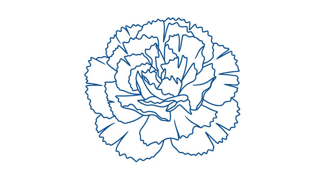 A minimalist line drawing depicts a single carnation flower in shades of blue high quality professional