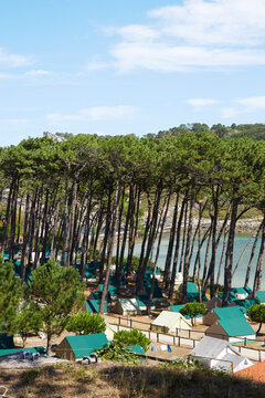 Camping site nestled in Cies Islands' scenic pine forest
