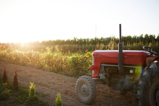 Tractor at sunrise in an organic garden