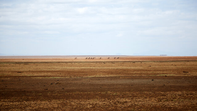 Vast landscape of Ngorongoro Conservation Area