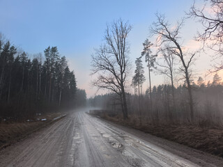 wet, mud covered country road through spring forest in misty morning