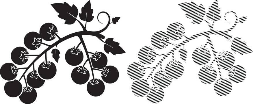 Elegant black and dotted grapevine branches with clusters of grapes in contrasting styles