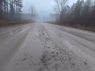 wet, mud covered country road through spring forest in misty morning