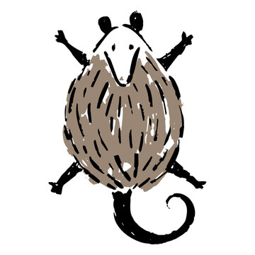 Illustration of a possum with extended limbs