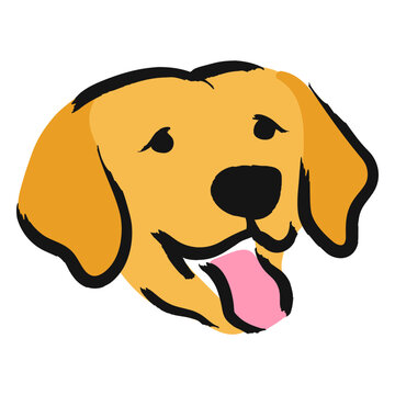 Yellow labrador dog with its tongue out