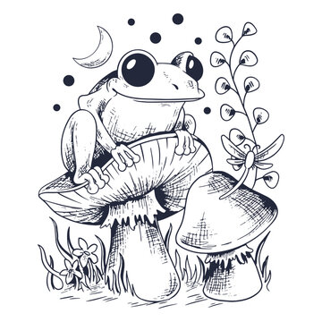 Black and white drawing of a frog sitting on a mushroom