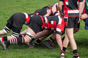 Fototapeta premium Rugby players scrum during a game