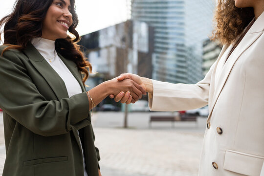 Business handshake between two professional women